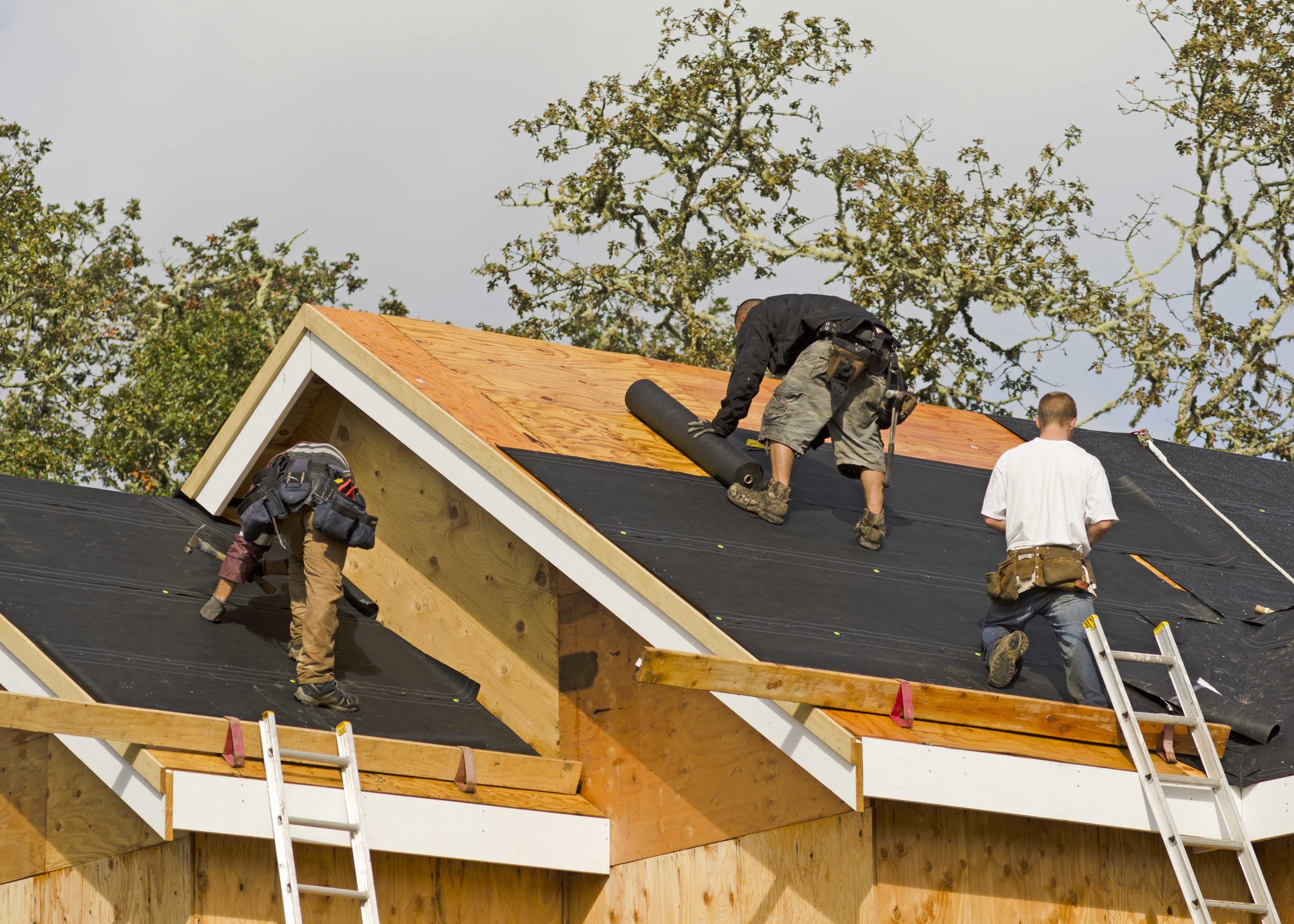 Professional roofers in Mission Veijo
